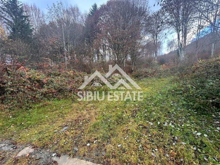 Oportunitate de investiție – Teren pentru hotel / pensiune pe Valea Avrigului - 11