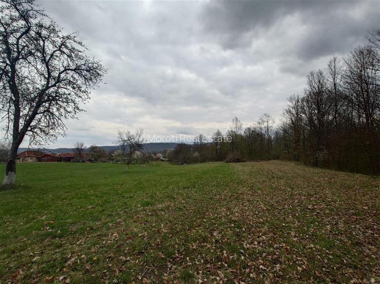 10 000 mp teren intravilan cu priveliste - 13