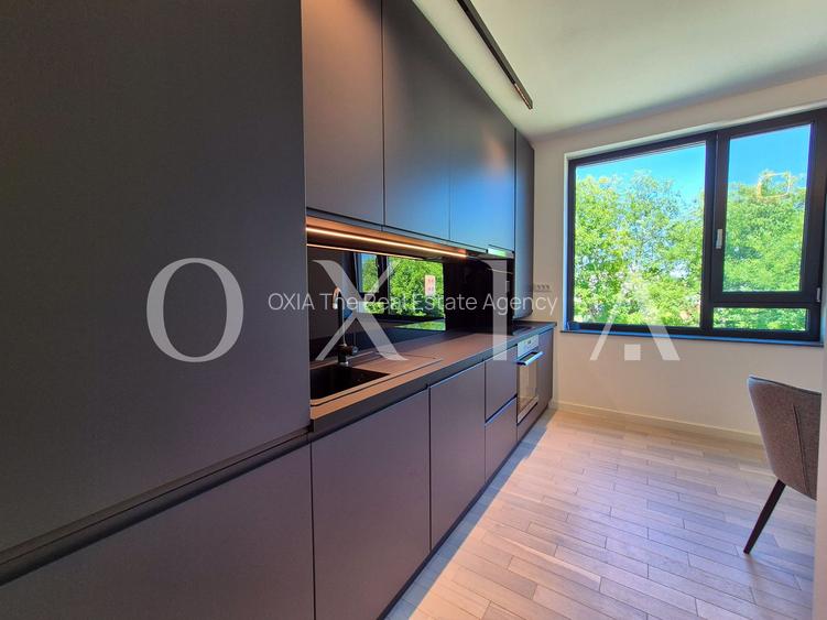 AX1068 Dumbravita, Bulevardul Petre Tutea, Prima Inchiriere - 3