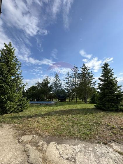 Proprietate speciala Dragomiresti Deal -Teren 15000 mp - 45