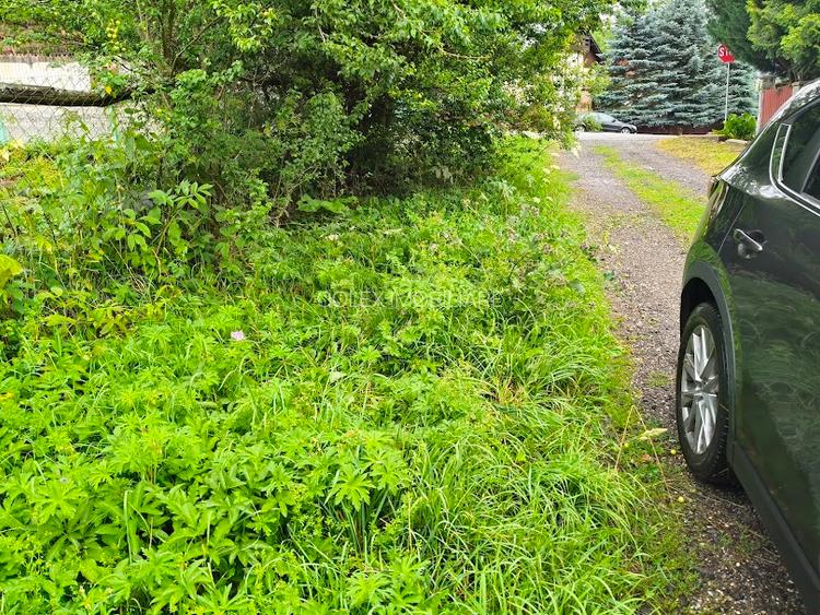 Teren intravilan de vanzare in Azuga - 4