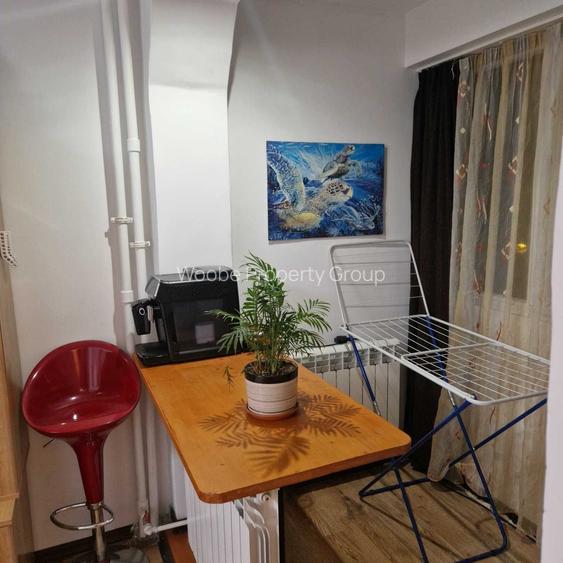 GARSONIERA OBOR - MASINA DE PAINE - 6