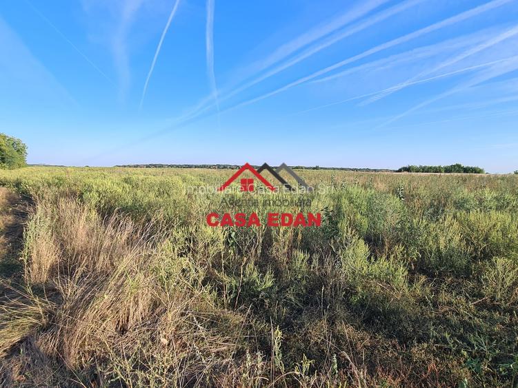 Teren extravilan in Urleta--5000m--18.500e - 8