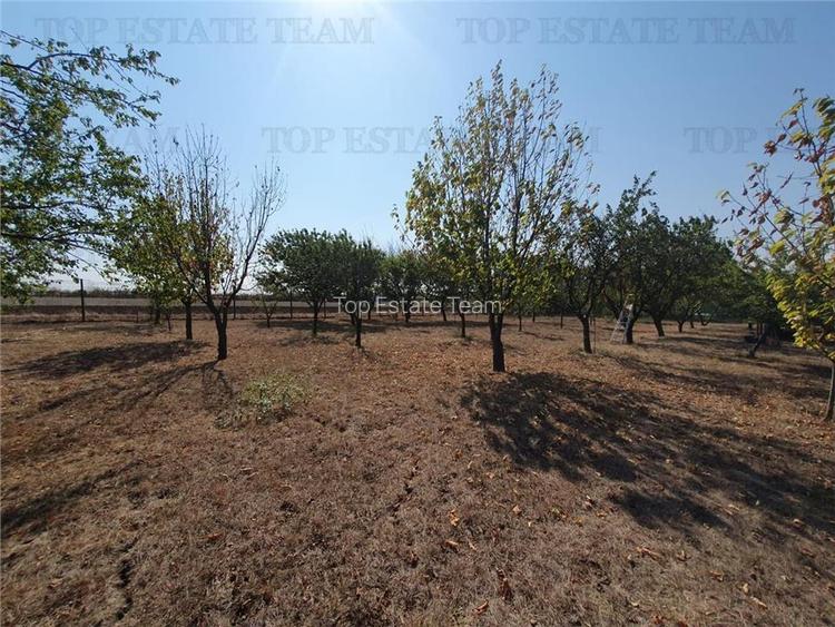 Teren intravilan agricol si teren curti constructii Lot 2 Parcela A326/49 - 2