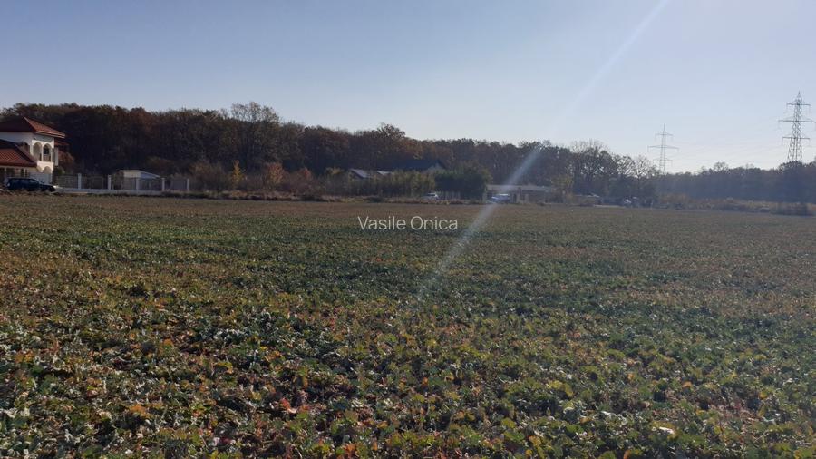 Balotesti teren intravilan 14036 mp Arc padurea Codrii Vlasiei - 9