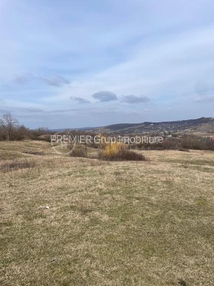Teren intravilan 11.300mp, Barnova, cu acces auto si front stradal - 2