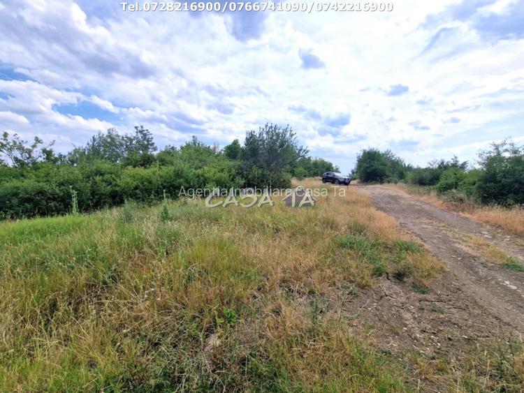 Teren Extravilan (11.464 mp),situat in Targu-Jiu, Str Ciresului - 4
