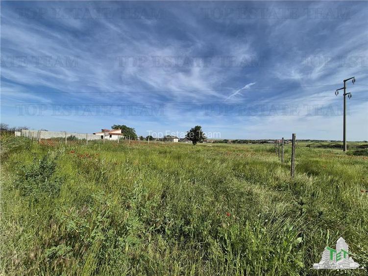 Teren intravilan Techirghiol - 4