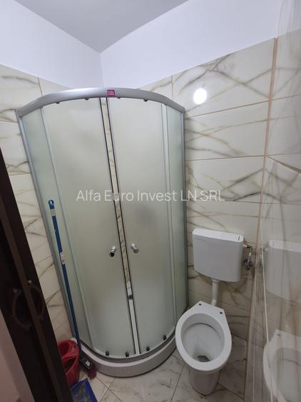 Alfa Invest inchiriaza Studiou - 7