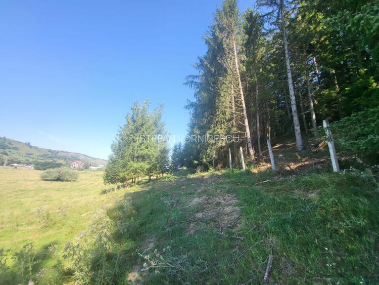 Teren, Ideal pentru Investitie Sau Dezvoltare - 3