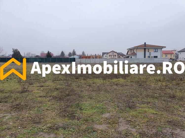 Catelu | Teren 5000MP | Intravilan | 15 Minute Metrou | OPORTUNITATE - 4