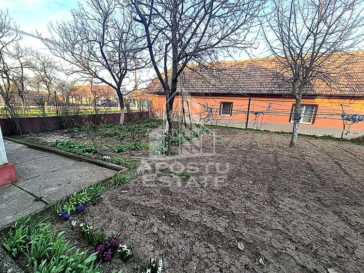 Casă individuală cu etaj, teren 3000 mp, grădină și solar – Satchinez - 2