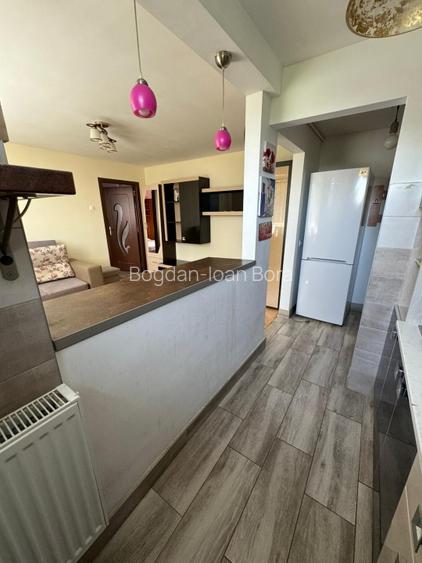 Pers. fizica inchiriez apartament 2 camere Constantin Brancusi - 4