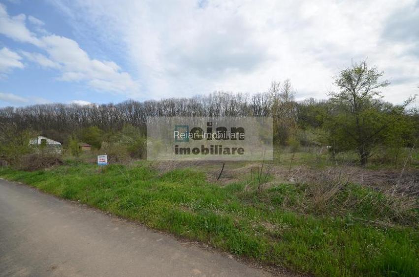 Snagov Crizantemelor Teren 3200mp, d 72ml, gaz, curent, asfalt, padure - 2