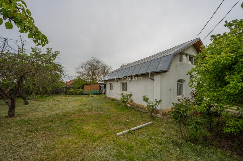 Tancabesti - Snagov Casa 3 camere Lot 1726MP! - 16