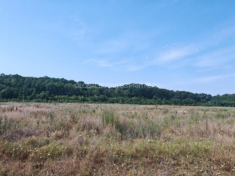 Teren Corbeanca – Balotești, 35.000 mp, lângă pădure și nodul rutier A0. - 4