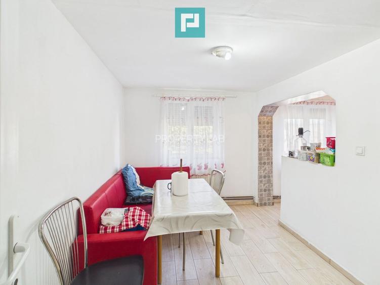 Casă retrasă Pișchia – 4 camere, teren 920 mp - 15