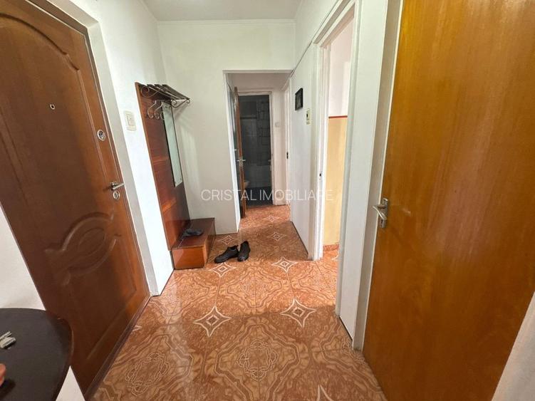 Apartament 2 camere mobilat, luminos, Drumul Taberei - Park Moghioros - 7