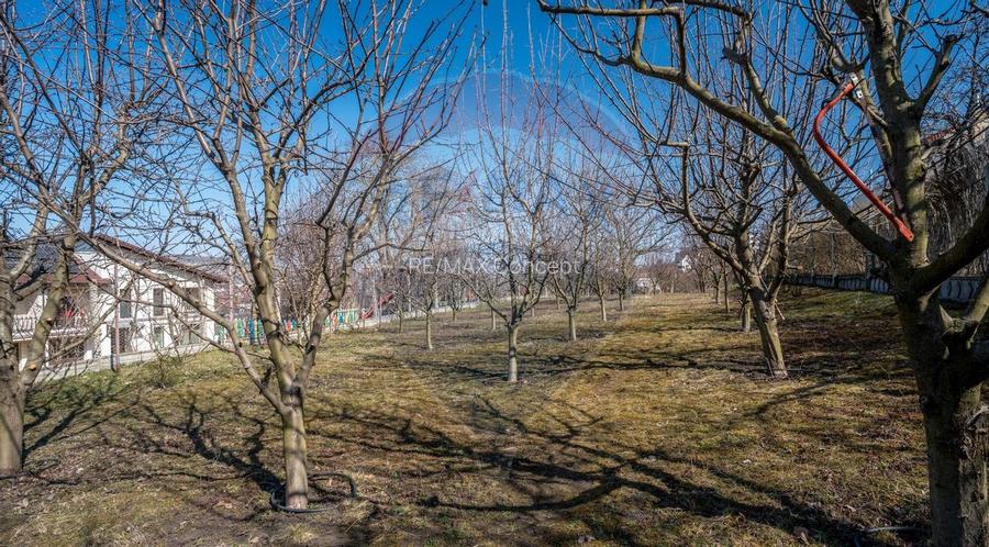 Teren intravilan Gruia, 2,491mp, ideal una-doua case - 6