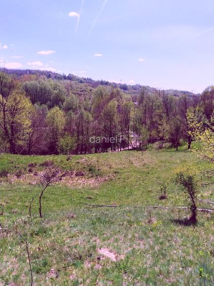 Teren de vis la munte – 7.795 mp – construibil – pârâu, pădure, fără vecini - 6