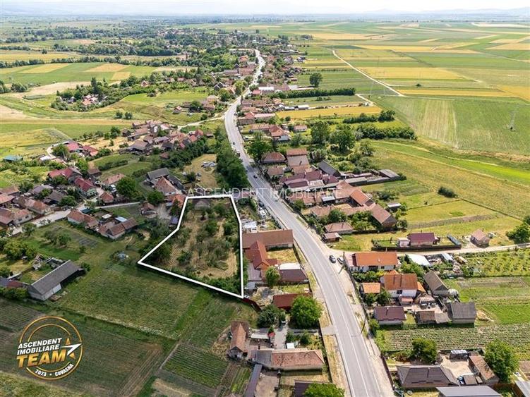 FILM! Casa personalizabila +2.700mp teren,pomi fructiferi,langa Sfantu Gheorghe: - 4