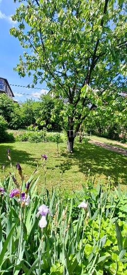 Proprietar vând casă în Valea Lupului – poziție excelentă, grădină superbă și po - 6