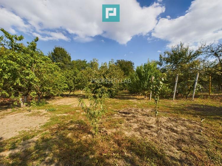 Casă cu teren 2877 mp, orașul Ineu - 6