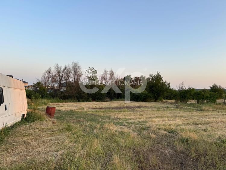 Teren 1650 mp intravilan Trivale - Olteni – cadru natural langa Padure - 2