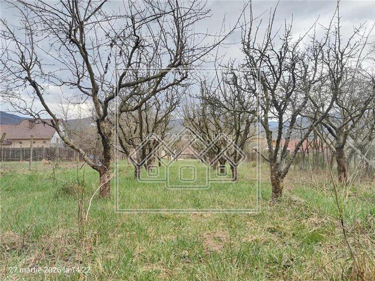 Casa si teren de vanzare in Sacel - 1355 mp teren - livada - Central - 5