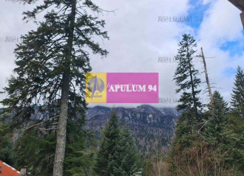 Vilă de vânzare in Sinaia - Zona Cumpătu - 26