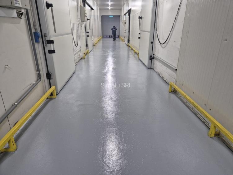 Depozit frig congelate Constanta Ovidiu - 10