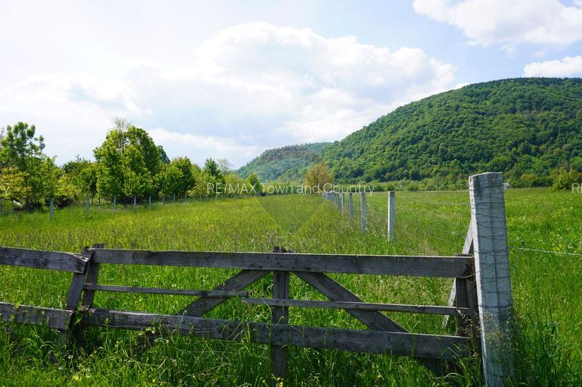 Teren 2,486mp Sighetu Marmatiei / Strada Constantin Dobrogeanu-Gherea - 6