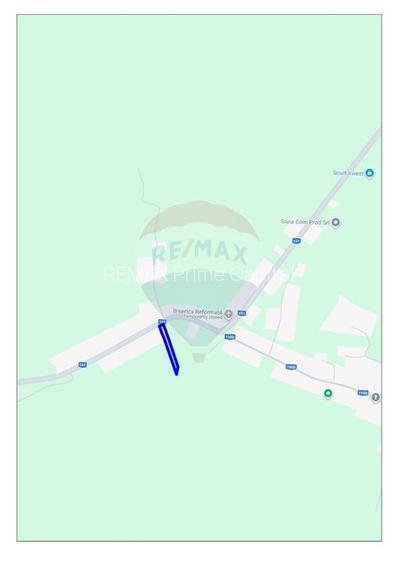 Casa de vanzare cu teren de 3000mp, sat Pagaia, Bihor - 7