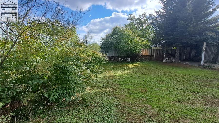 CASA cu anexa si spatiu comercial – de vanzare in BEIUS - 36