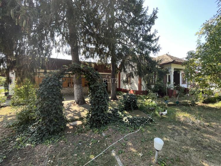 Popas La Doi Brazi - magazine, bar, terasă, casă boierească, grădină și piscină - 16