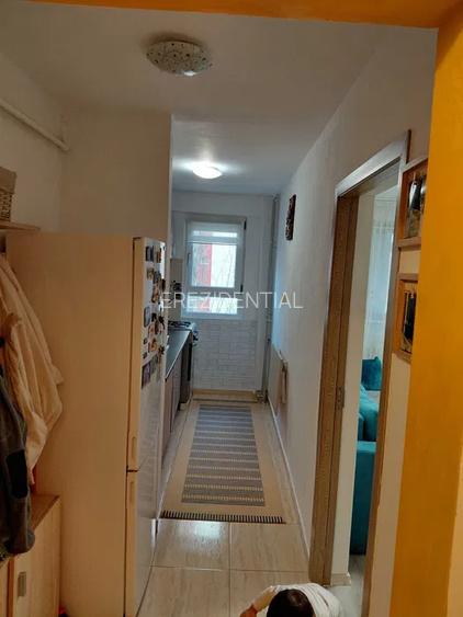 Apartament 2 camere Luica - 4