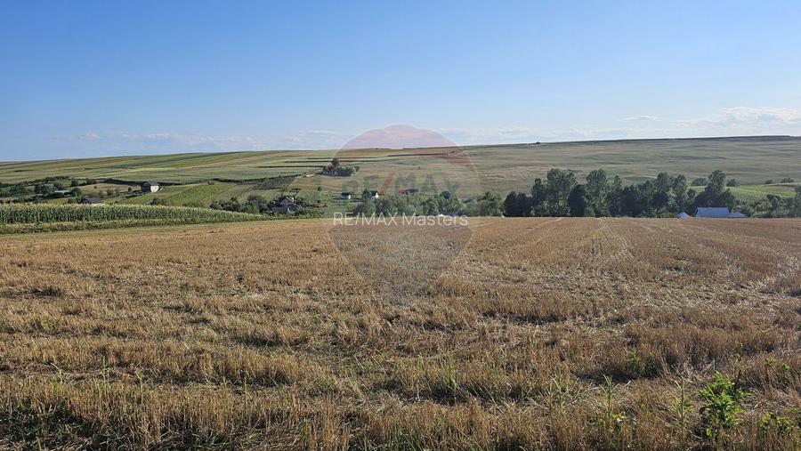 Teren intravilan, 7500 mp in Moara Carp / Strada Eternitatii-Suceava - 16