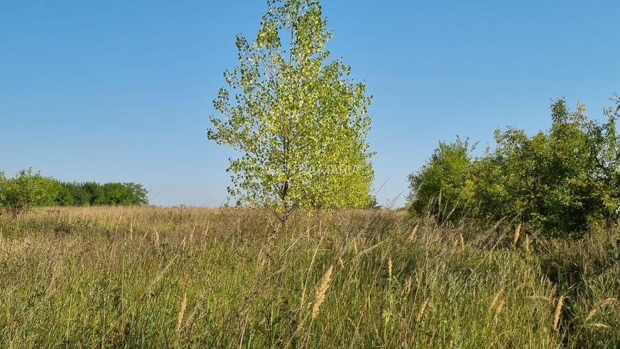 Casa Pensiune in Viile Satu Mare teren 1,63 ha, 11 camere, 10 bai - 17