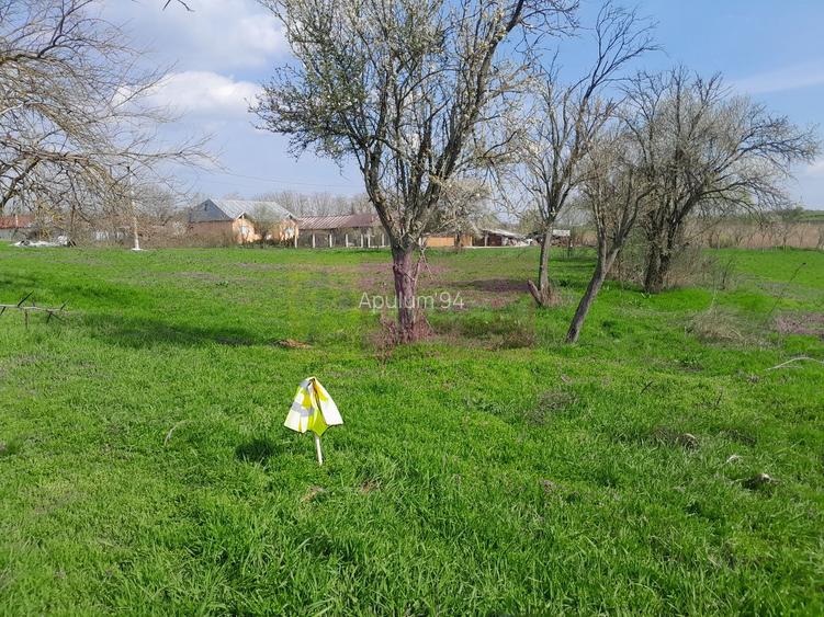 DE VANZARE TEREN 3400 MP IN SAT PODU ILFOVAT / COM BUTURUGENI (GR) - 35