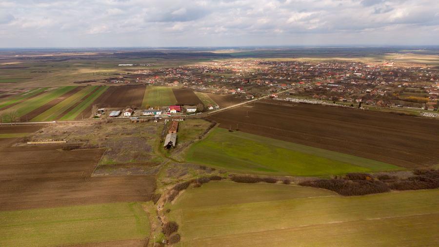 Fermă cu teren intravilan de 35000 mp în Mișca