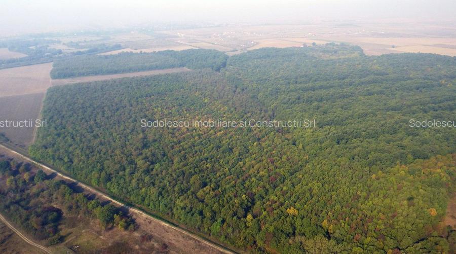 TEREN 847 MP SAG  - ZONA MANASTIRE - 5