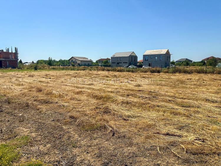 Teren 1116 mp gulia Eden Forest - 3