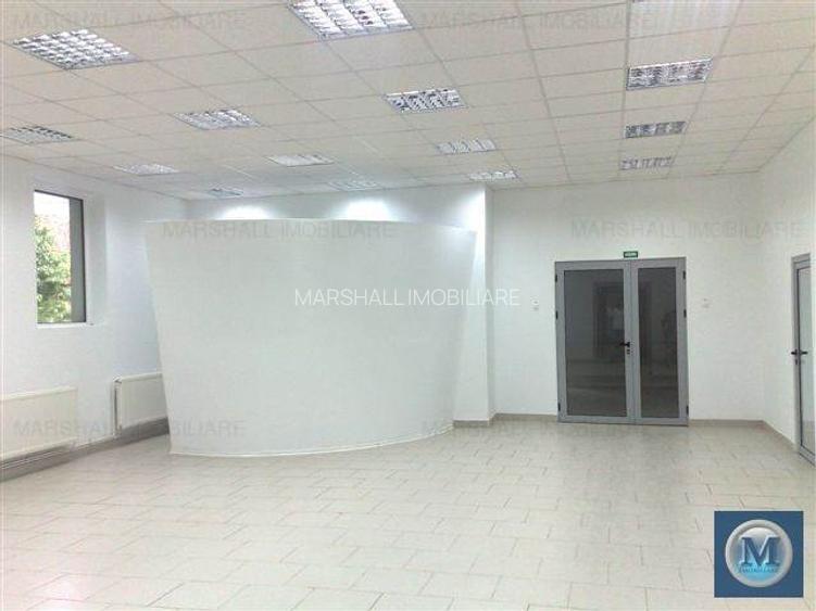 Spatiu  birouri de inchiriat in Paulestii Noi, 2361,24 mp mp #9967 - 14