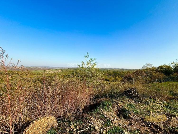 Teren Intravilan 1146 mp cu vedere panoramica de vanzare in Paleu - 6