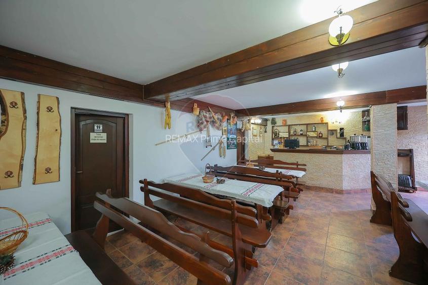 Oportunitate de investiție, Restaurantul Piatra Grăitoare,Vârtop,Bihor - 21
