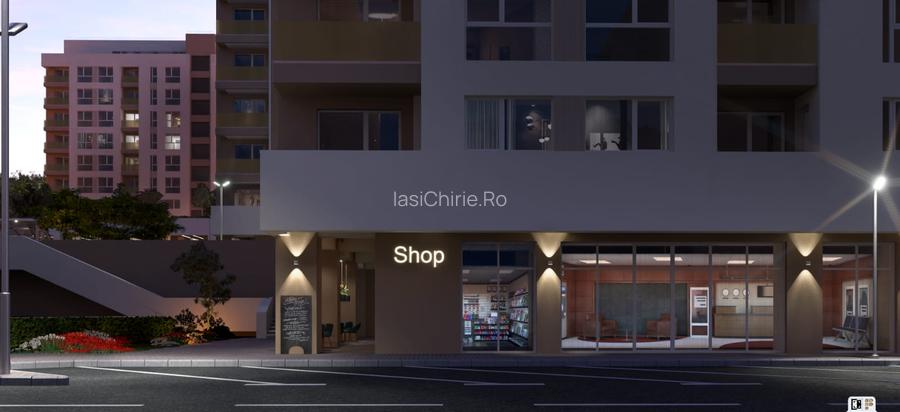 Apartament 1 camera  Copou-Rasarit de Soare - 4