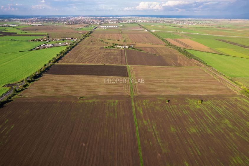 Teren de 100000 mp în Arad - 5