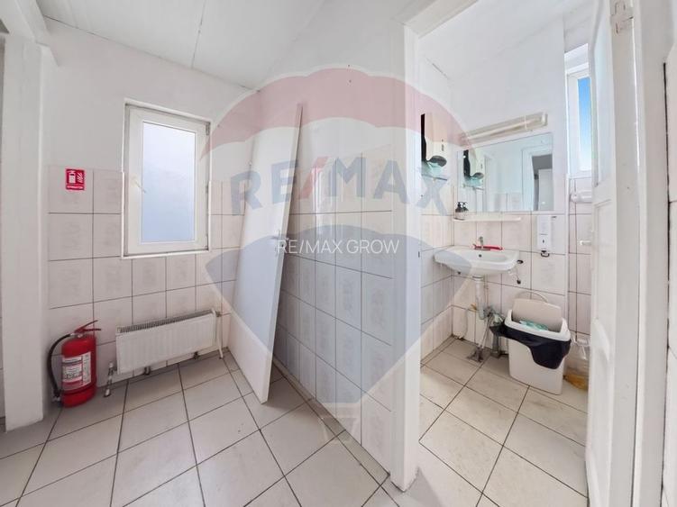 Cladire individuala 243 mp de inchiriat pe strada Mioritei - 9