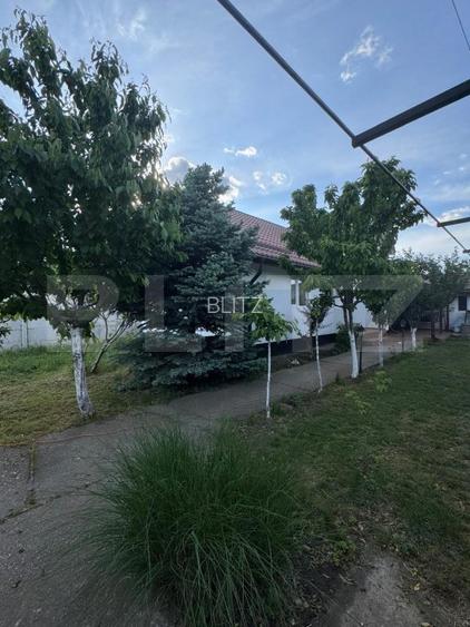 Casa 73 mp utili si 310 mp de teren, zona Bariera Valcii - 3