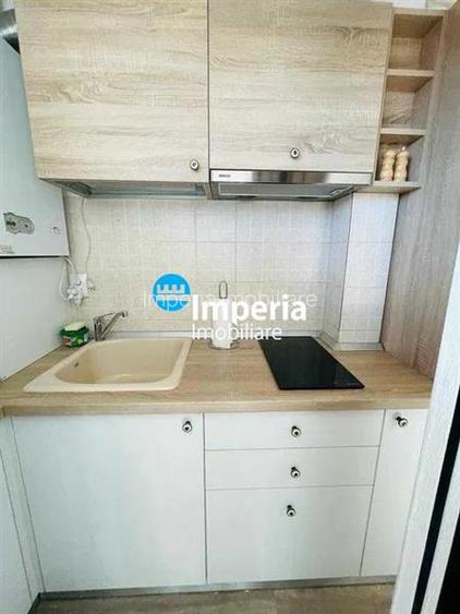 Apartament 2 cam, open space, de vanzare in zona Tatarasi - Sf Maria - 5